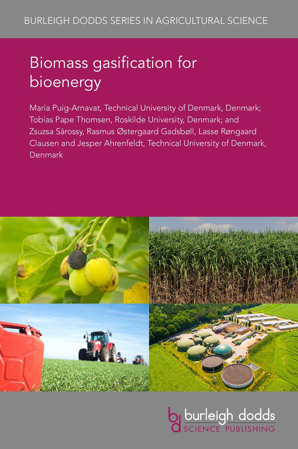 Book cover image for Biomass gasification for bioenergy ISBN: 9781786766243